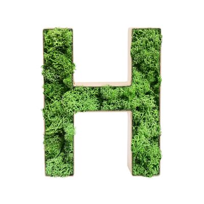 Stadtliebe® | 3D moss letter "H" home decoration
