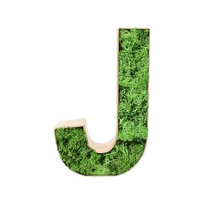 Stadtliebe® | 3D moss letter "J" home decoration