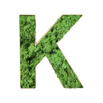 Stadtliebe® | Decoración del hogar de la letra "K" de musgo 3D