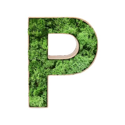 Stadtliebe® | 3D moss letter "P" home decoration