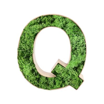 Stadtliebe® | 3D moss letter "Q" home decoration