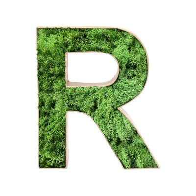 Stadtliebe® | 3D moss letter "R" home decoration
