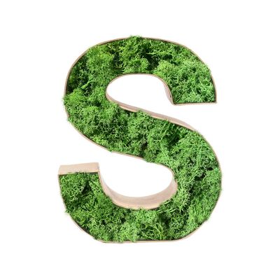 Stadtliebe® | 3D moss letter "S" home decoration