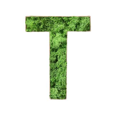 Stadtliebe® | 3D moss letter "T" home decoration