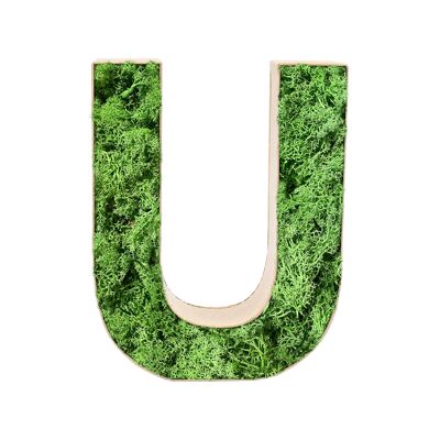 Stadtliebe® | Decorazione per la casa con lettera "U" di muschio 3D