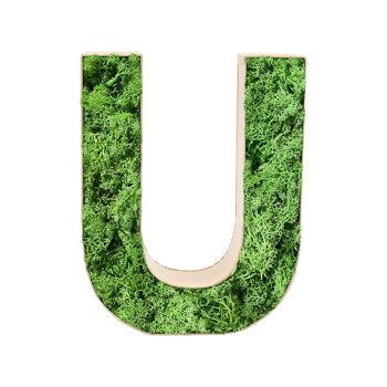 Stadtliebe® | Décoration de la maison lettre «U» en mousse 3D