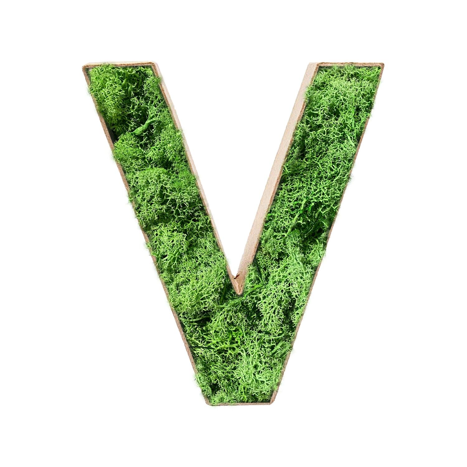 Stadtliebe® | Decoración del hogar de la letra "V" de musgo 3D