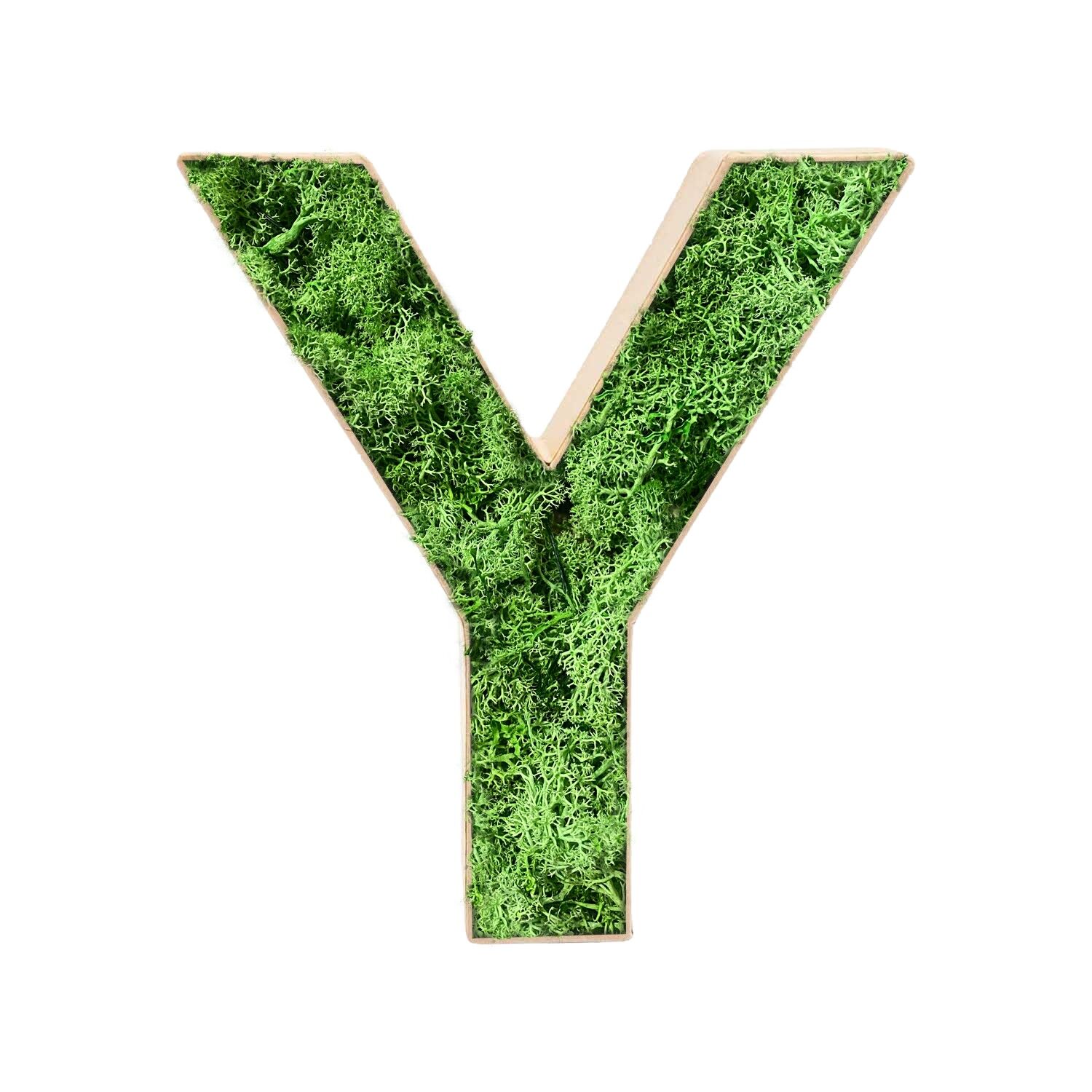 Stadtliebe® | Decoración del hogar de la letra "Y" de musgo 3D