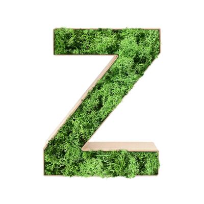 Stadtliebe® | Decorazione per la casa lettera "Z" di muschio 3D