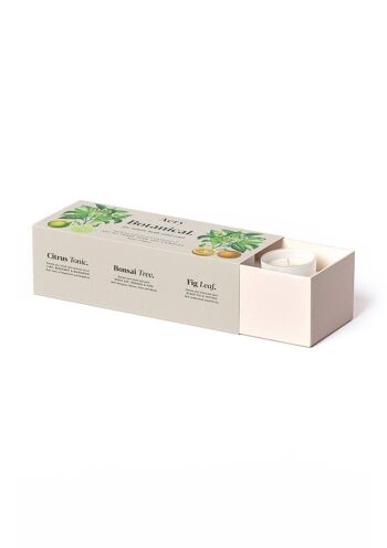 Coffret Botanique de Trois - Bougies Votives 3