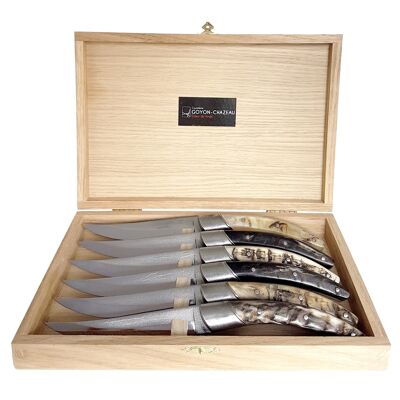 Box of 6 STYLVER ORIGINS knives - Ram's horn