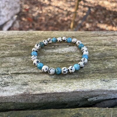 Elastic bracelet in Dalmatian Jasper and Apatite