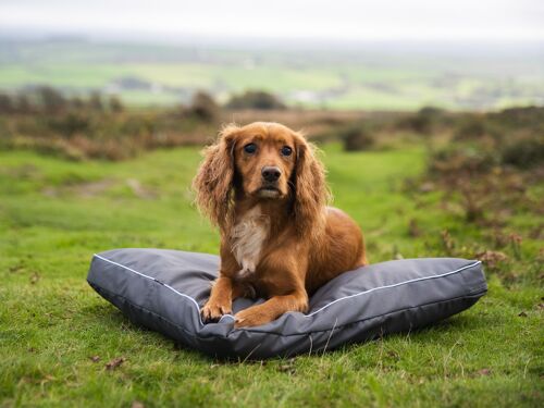 Henry Wag Brecon Adventure Bed