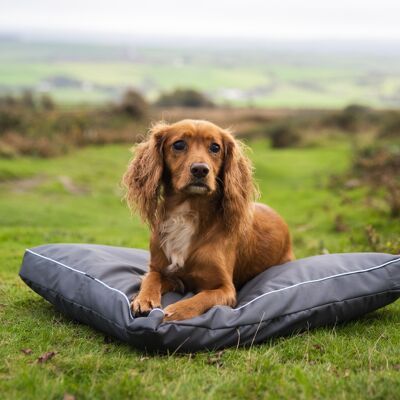 Cama de aventura Henry Wag Brecon