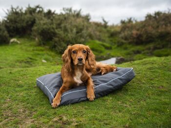 Lit d'aventure Henry Wag Brecon 2