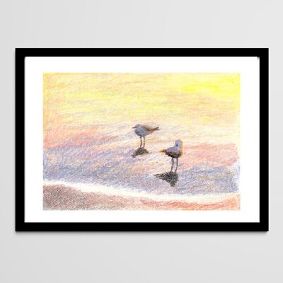 Póster de viaje - Gaviotas, dibujo al pastel