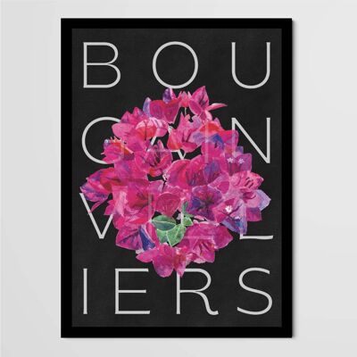 Poster Les Climbers - Bougainvillea