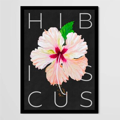 Affiche Les Grimpantes - Hibiscus