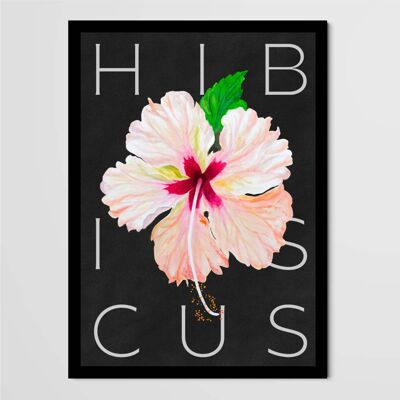 Kletterer Poster - Hibiskus