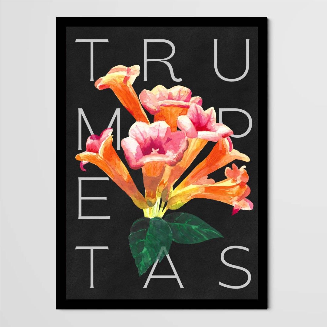 Poster Gli scalatori - Trumpetas