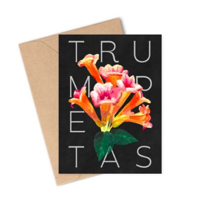 A5 postcard - Trumpetas, flowers