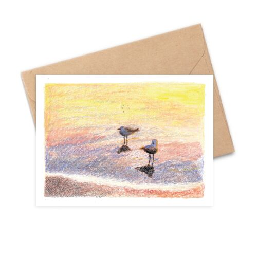 Carte postale A5 - Mouettes