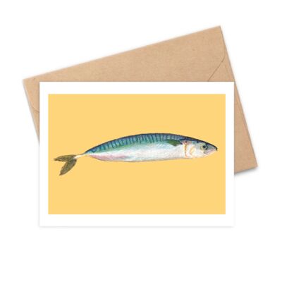 Postkarte A6 - Makrele, Fisch