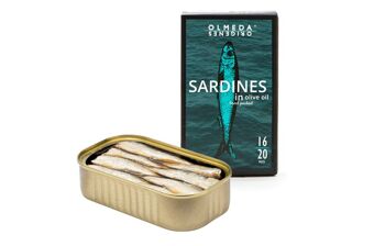 Petites Sardines à l'Huile d'Olive 1