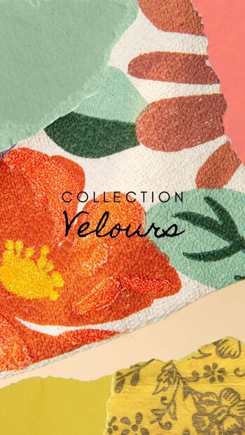 Collection velours