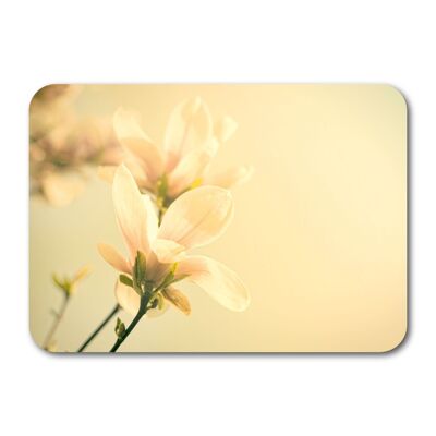 Natural paper postcard 7224