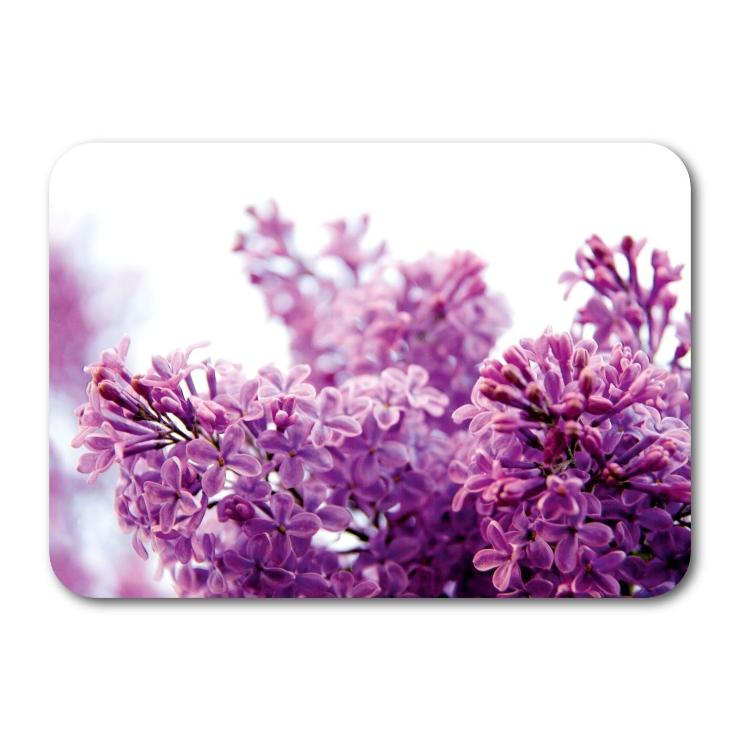 Cartolina in carta naturale 7225