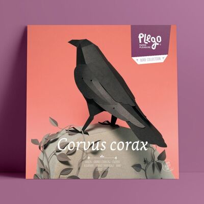 CORVUS CORAX Kit de figurines en papier