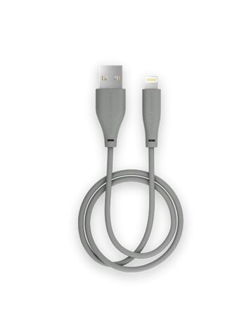 Câble de charge 2m USB A-lightning Gris cendré