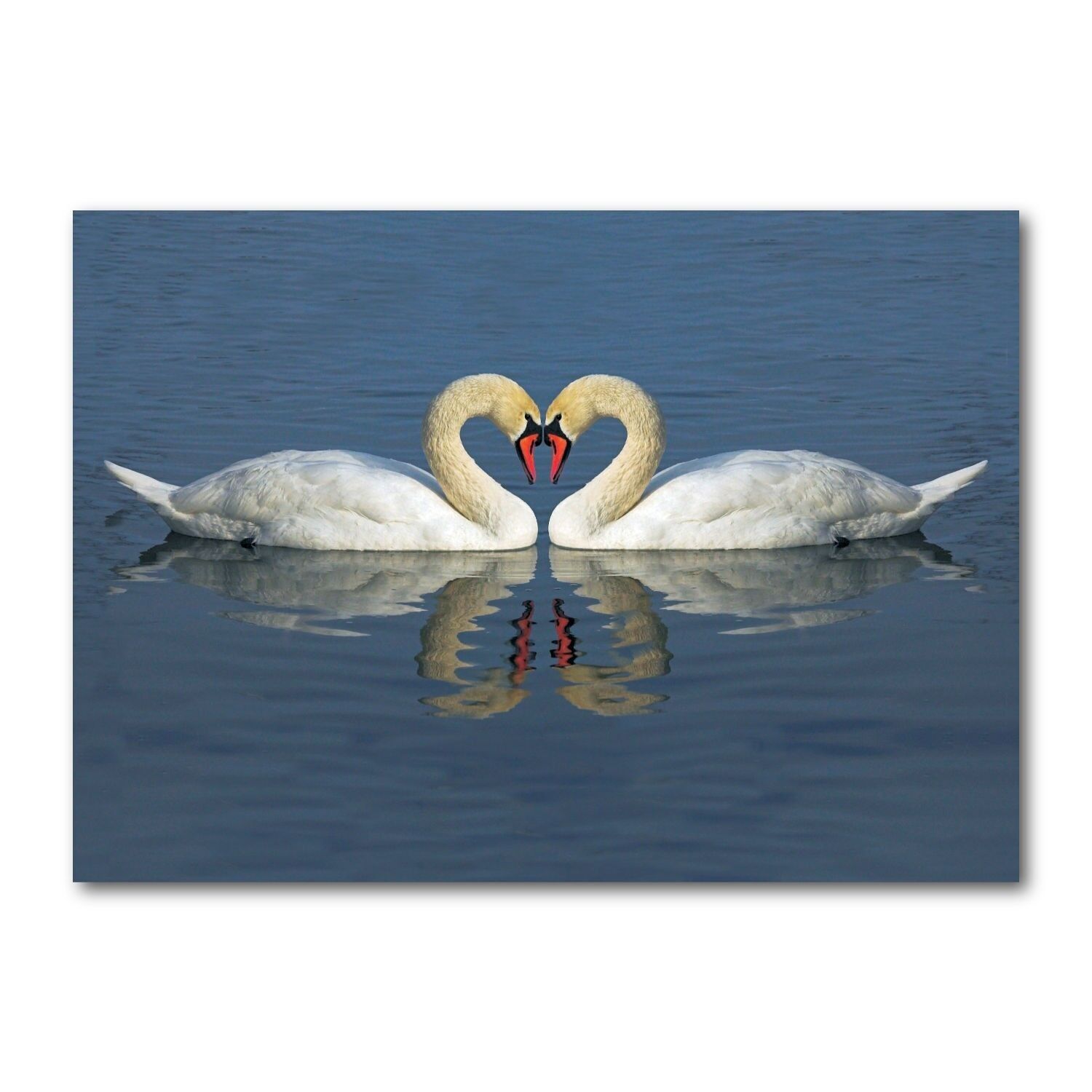 Cartolina formato orizzontale colore DIN A6 MG1141