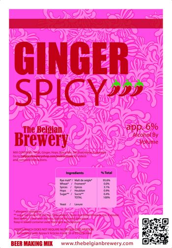 PACK GINGER SPICY Kit brassage bière pour 5 litres de Bières GINGER Forte & 6 bouteilles 75cl 2