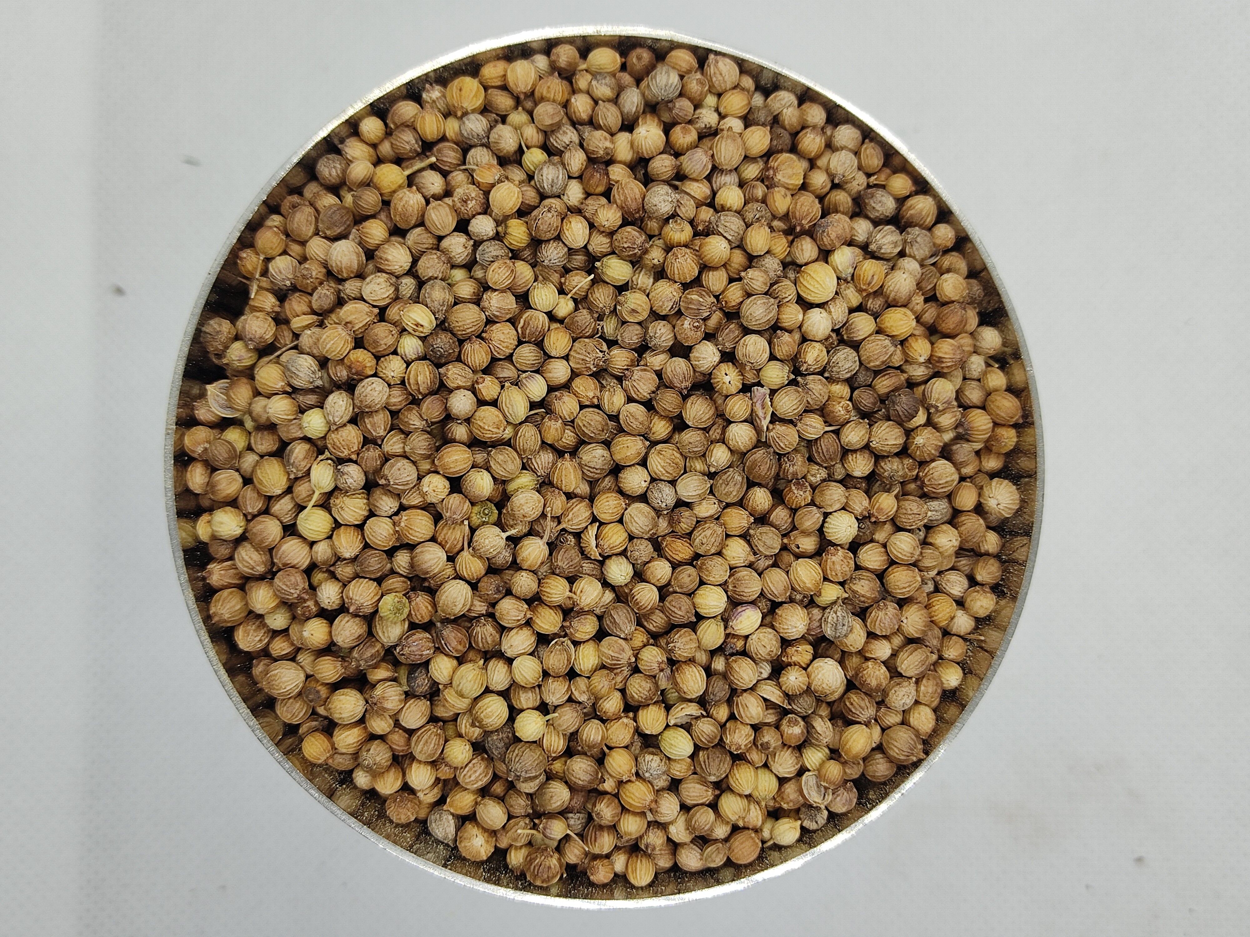 Coriander Seeds