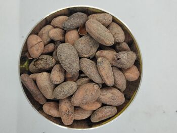 Fèves de Cacao Entières