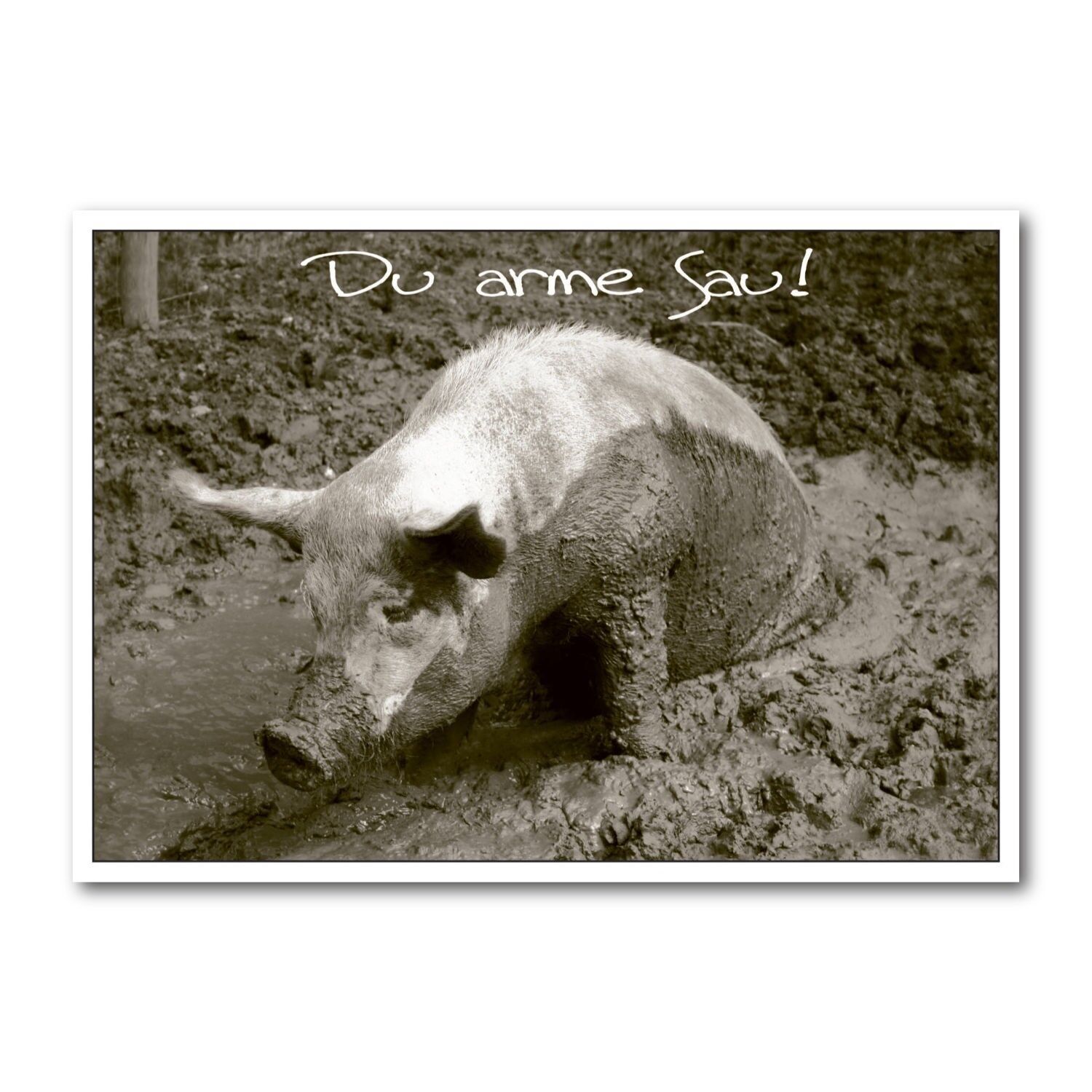 Cartolina formato orizzontale b/n DIN A6 MG1219