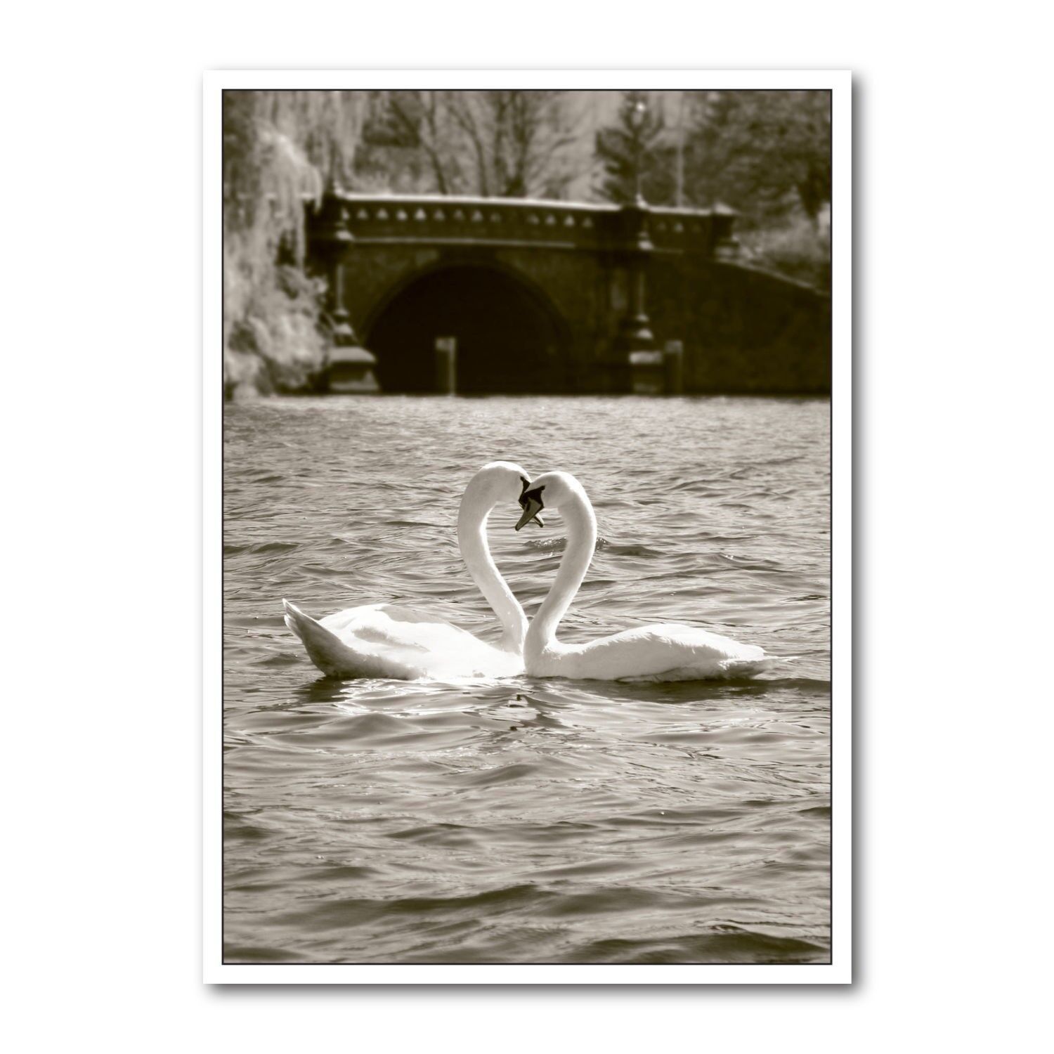 Cartolina verticale b/n DIN A6 MG1223