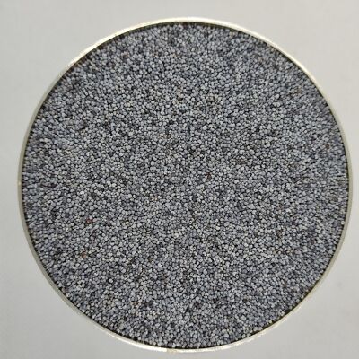 Blue Poppy Seeds