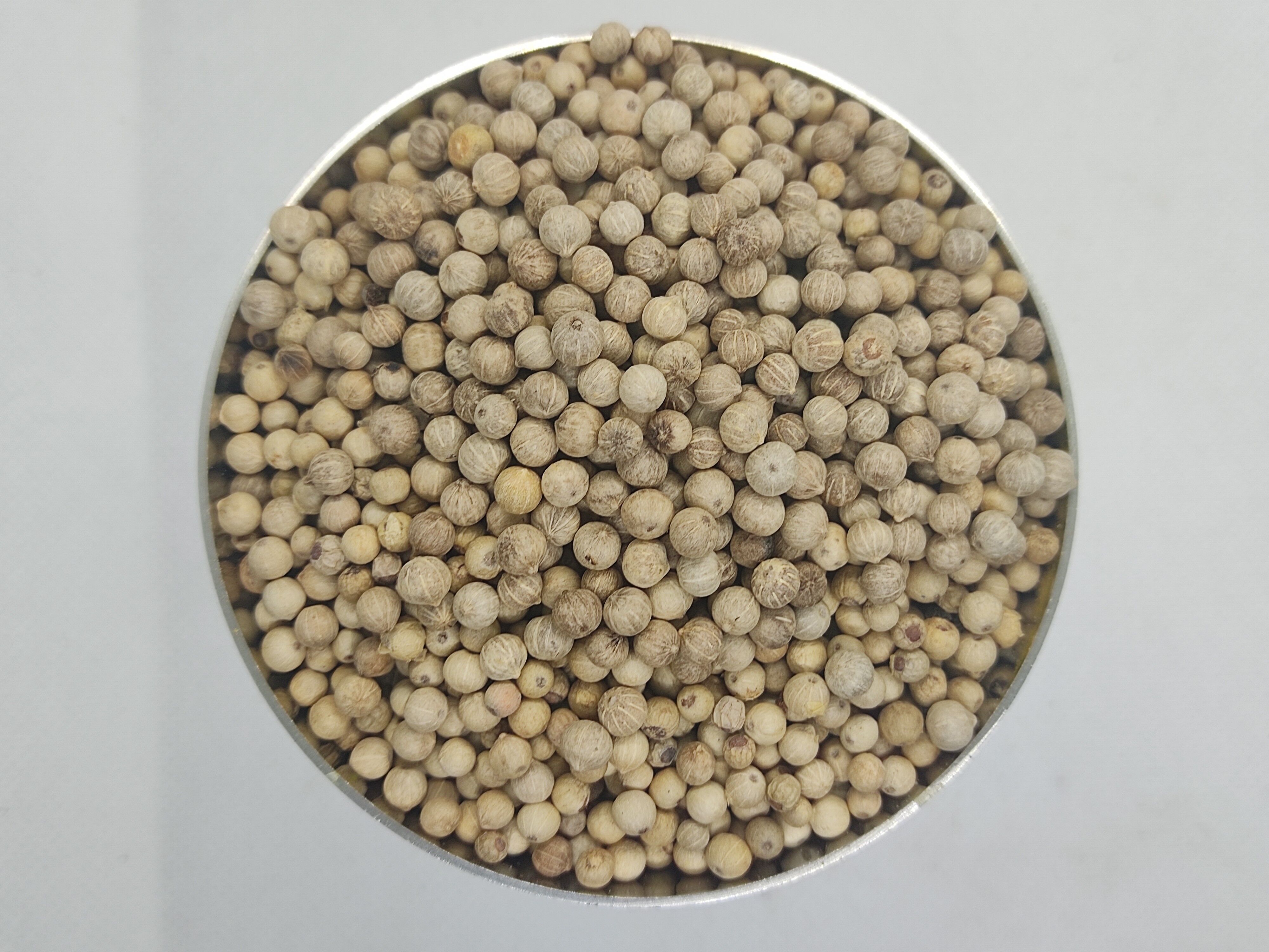 PEPERONCINO BIANCO DI MUNTOK