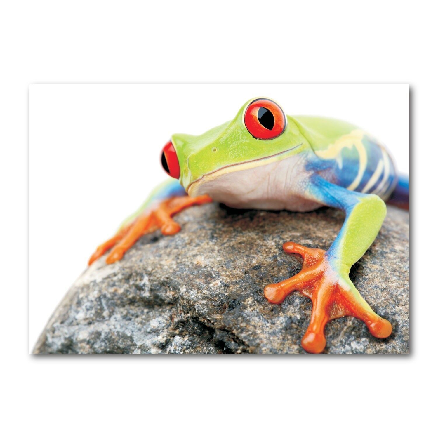 Carte postale format paysage couleur DIN A6 MG1274