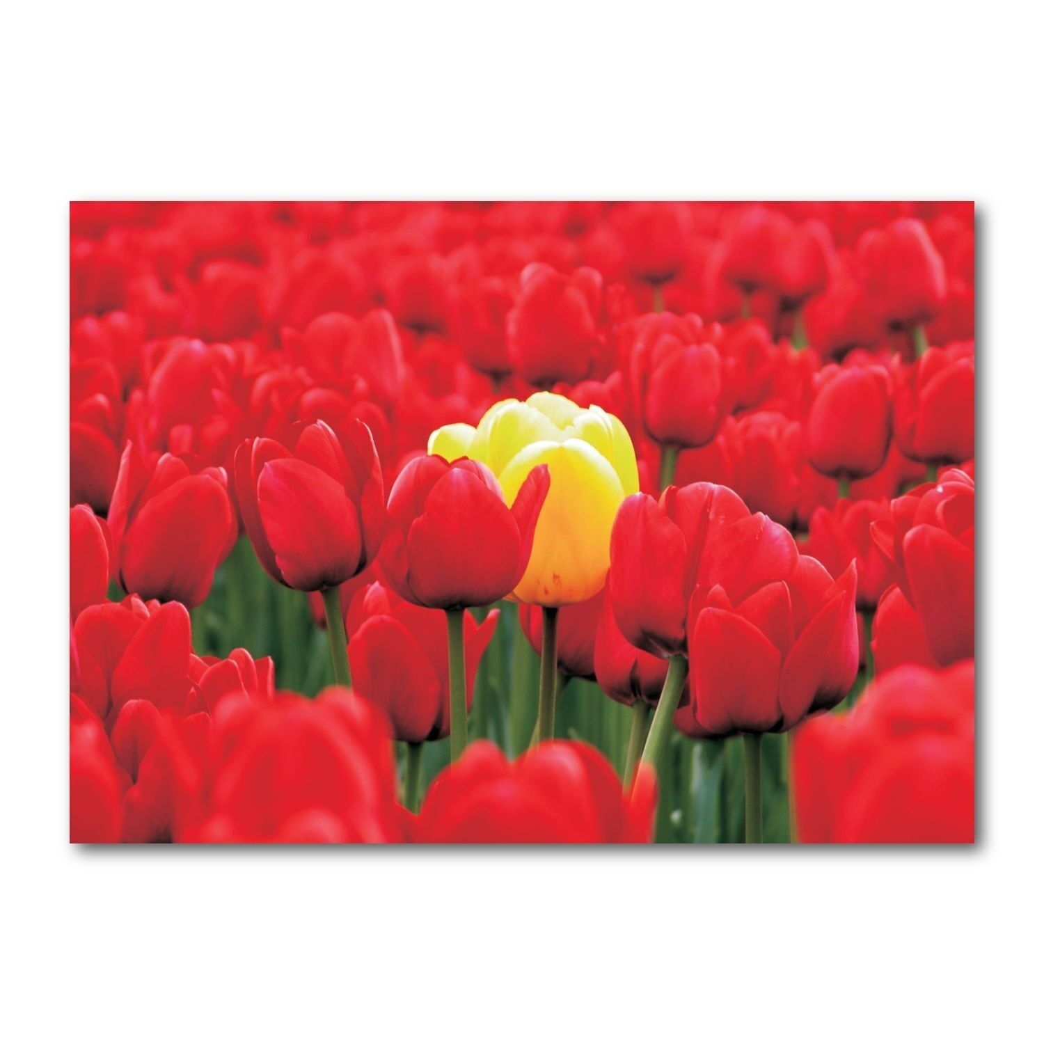 Postal apaisado color DIN A6 MG1287