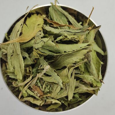 Yerba Maté