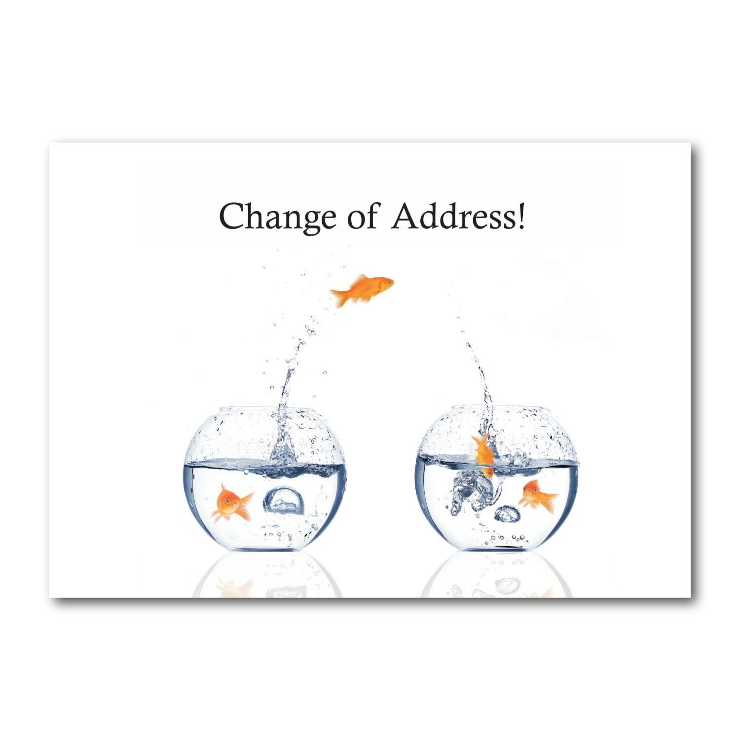 Postkarte querformat farbig DIN A6 MG1289