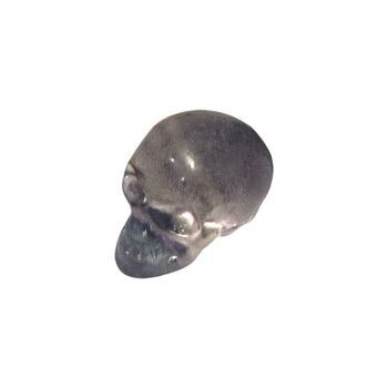 Mini tête de mort en fluorite arc-en-ciel, 1,5 x 1 cm 3