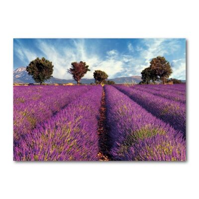 Carte postale format paysage couleur DIN A6 MG1352