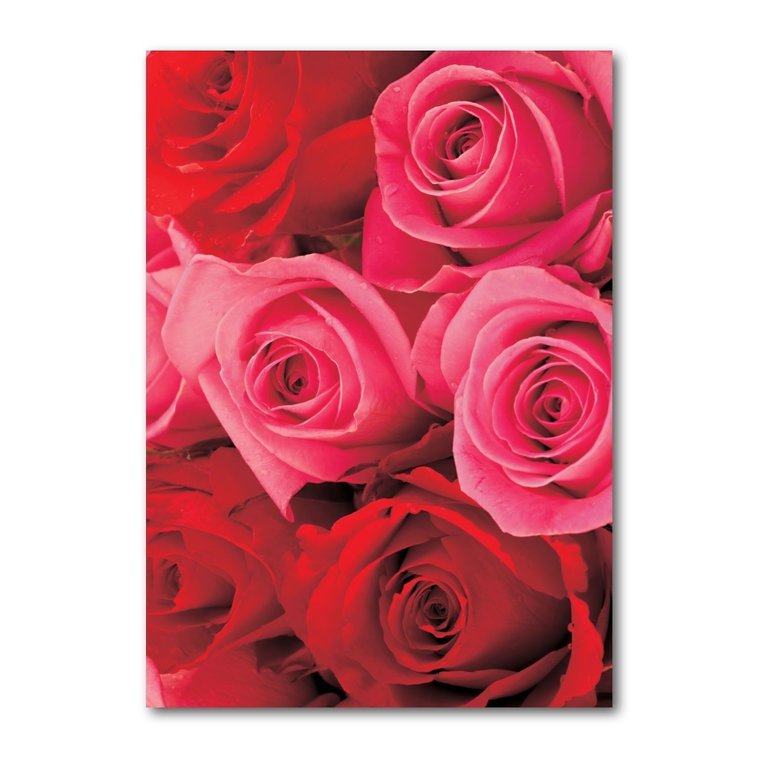 Postkarte querformat farbig DIN A6 MG1427