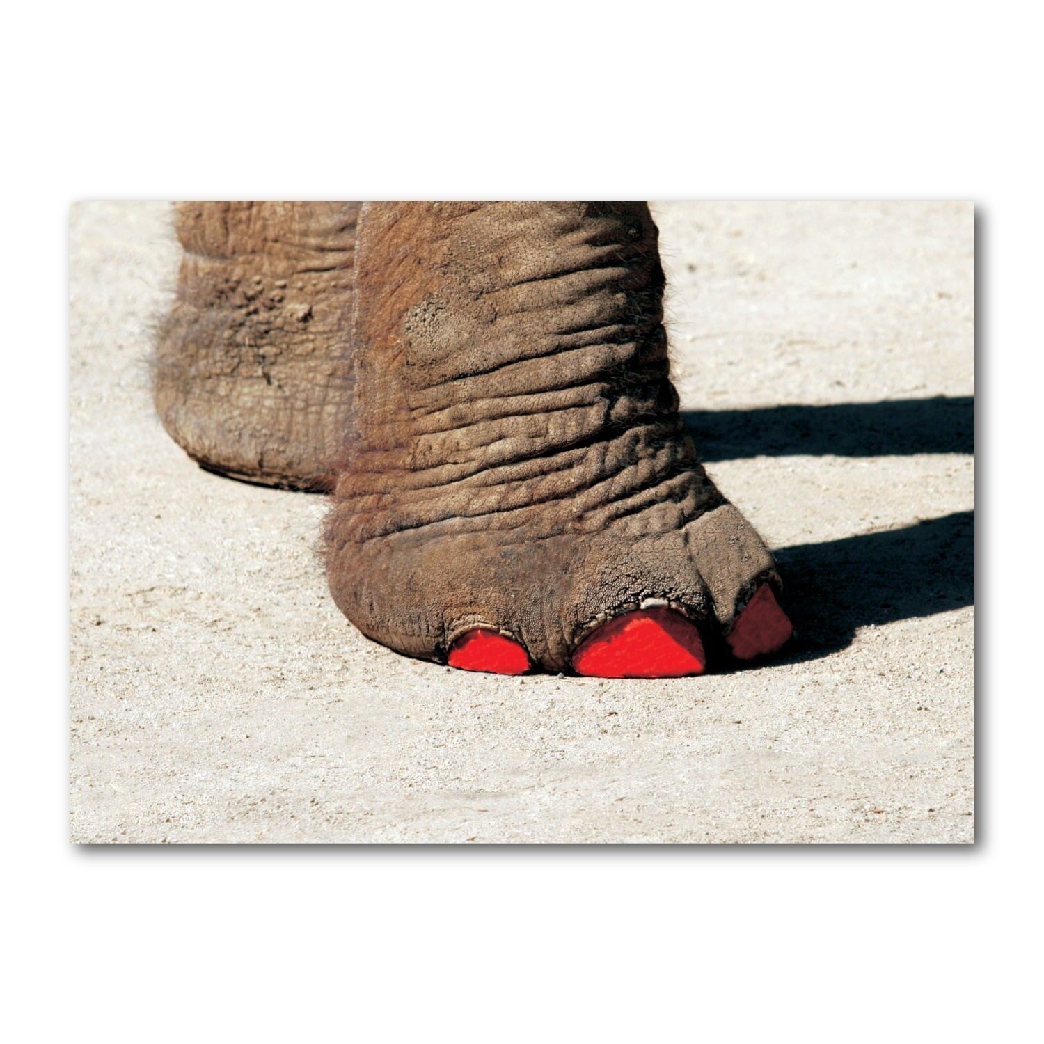 Cartolina formato orizzontale colore DIN A6 MG1471