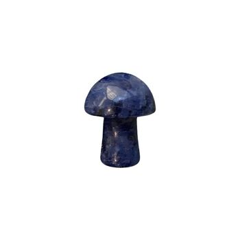 Champignon Cristal, 2cm, Sodalite 1